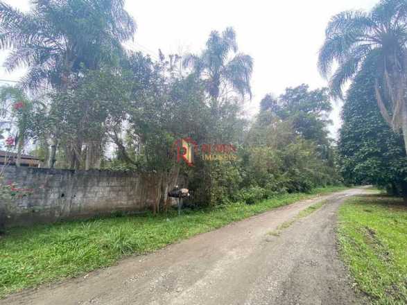 Lote com 4169,20