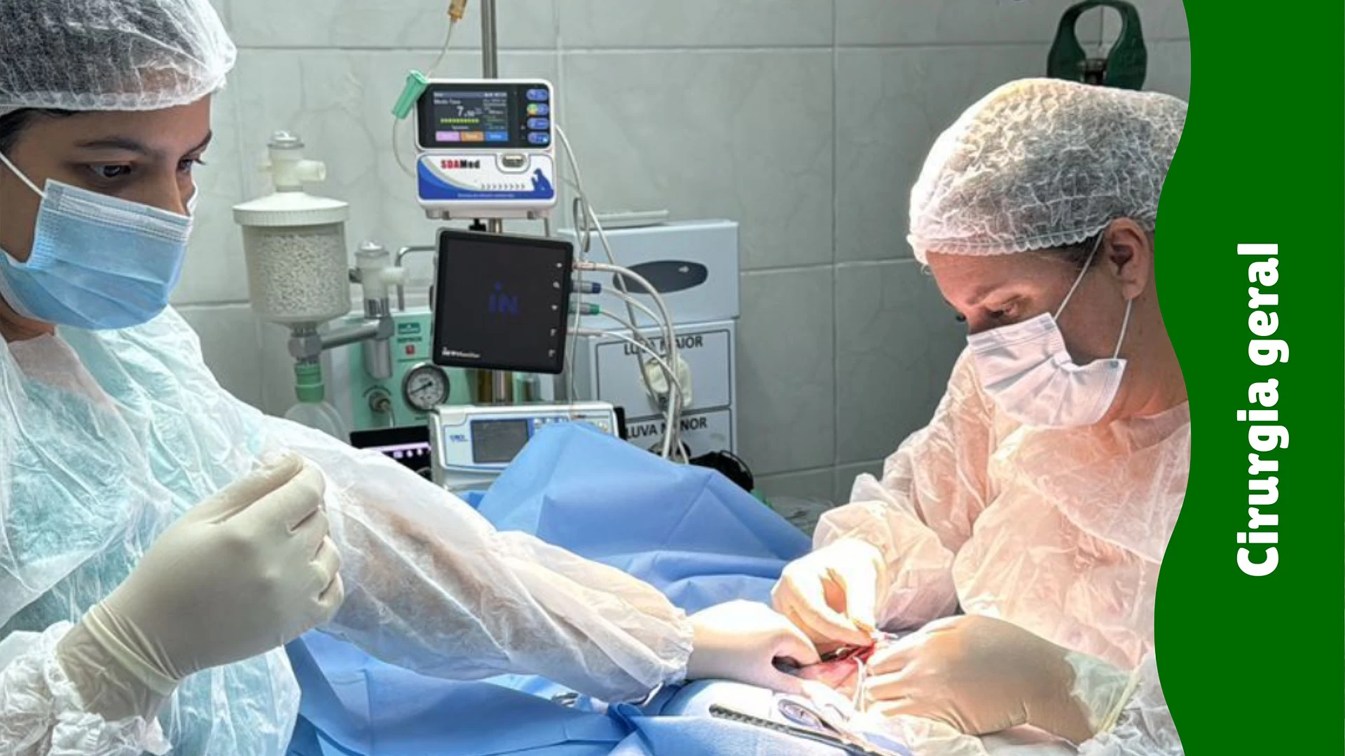 Cirurgia de Castração