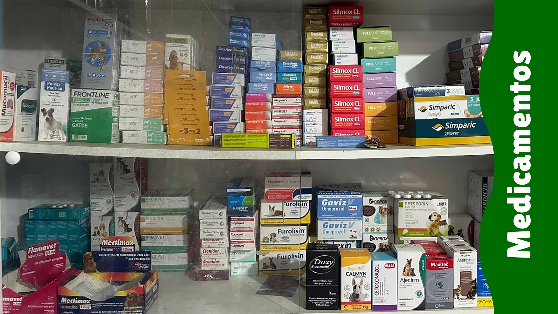 Medicamento Veterinário