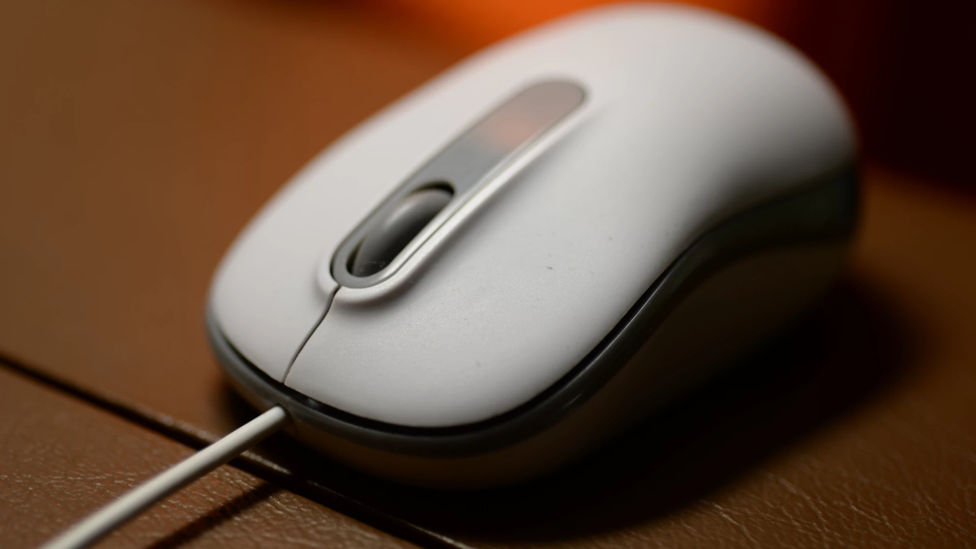 Mouse