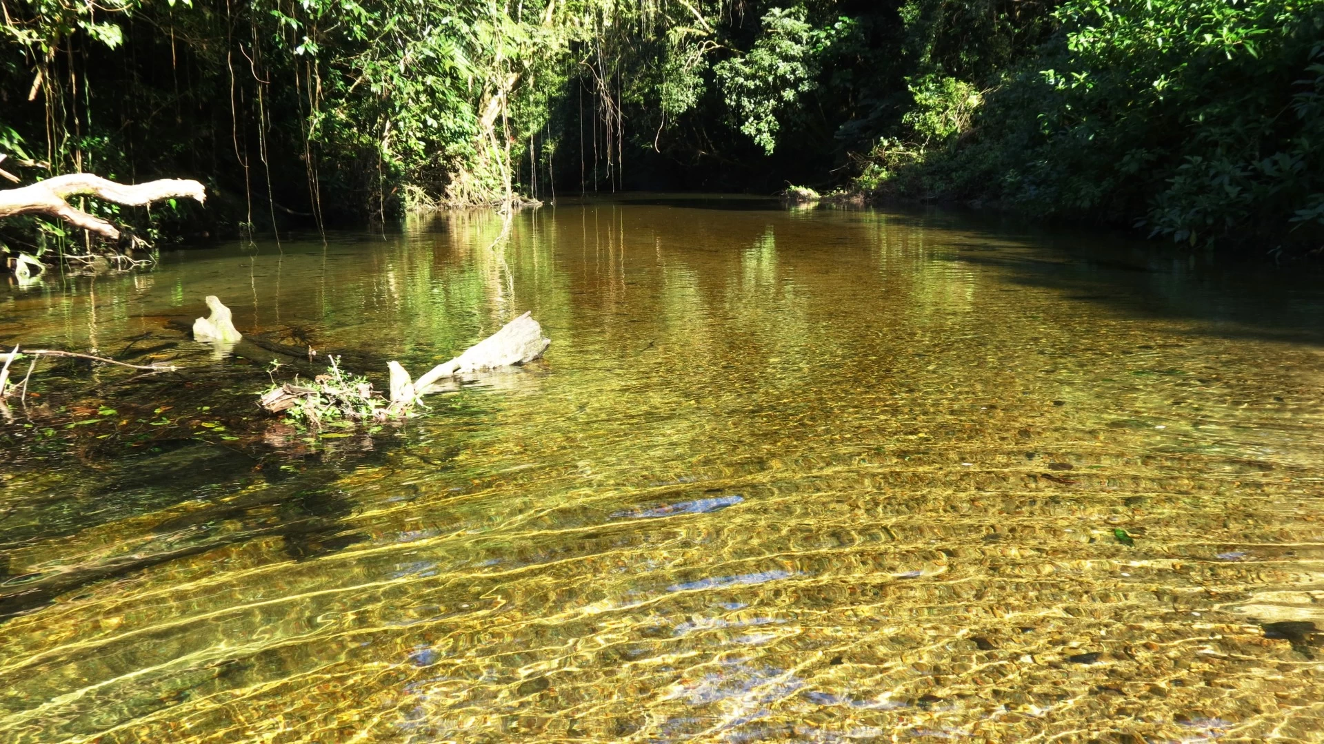 Passeio Rio Jaguareguava