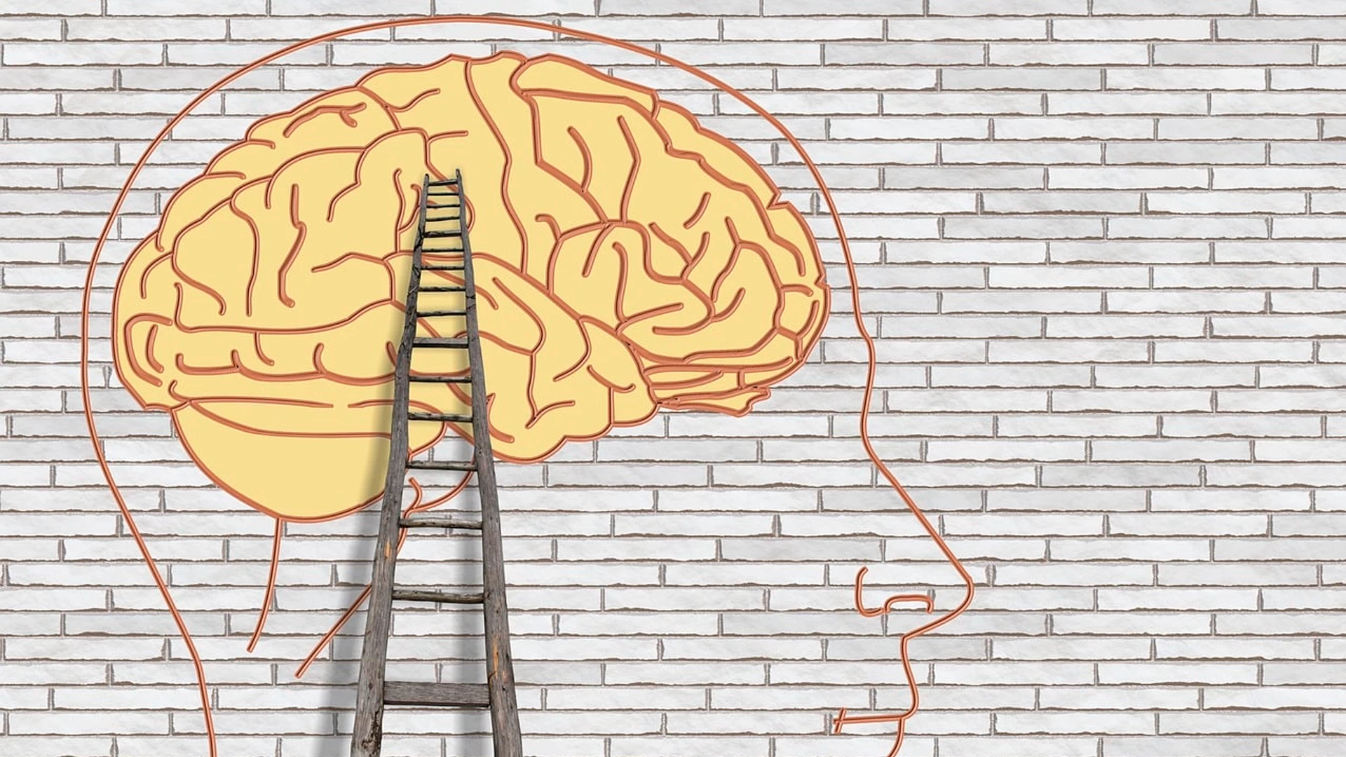 Bertioga