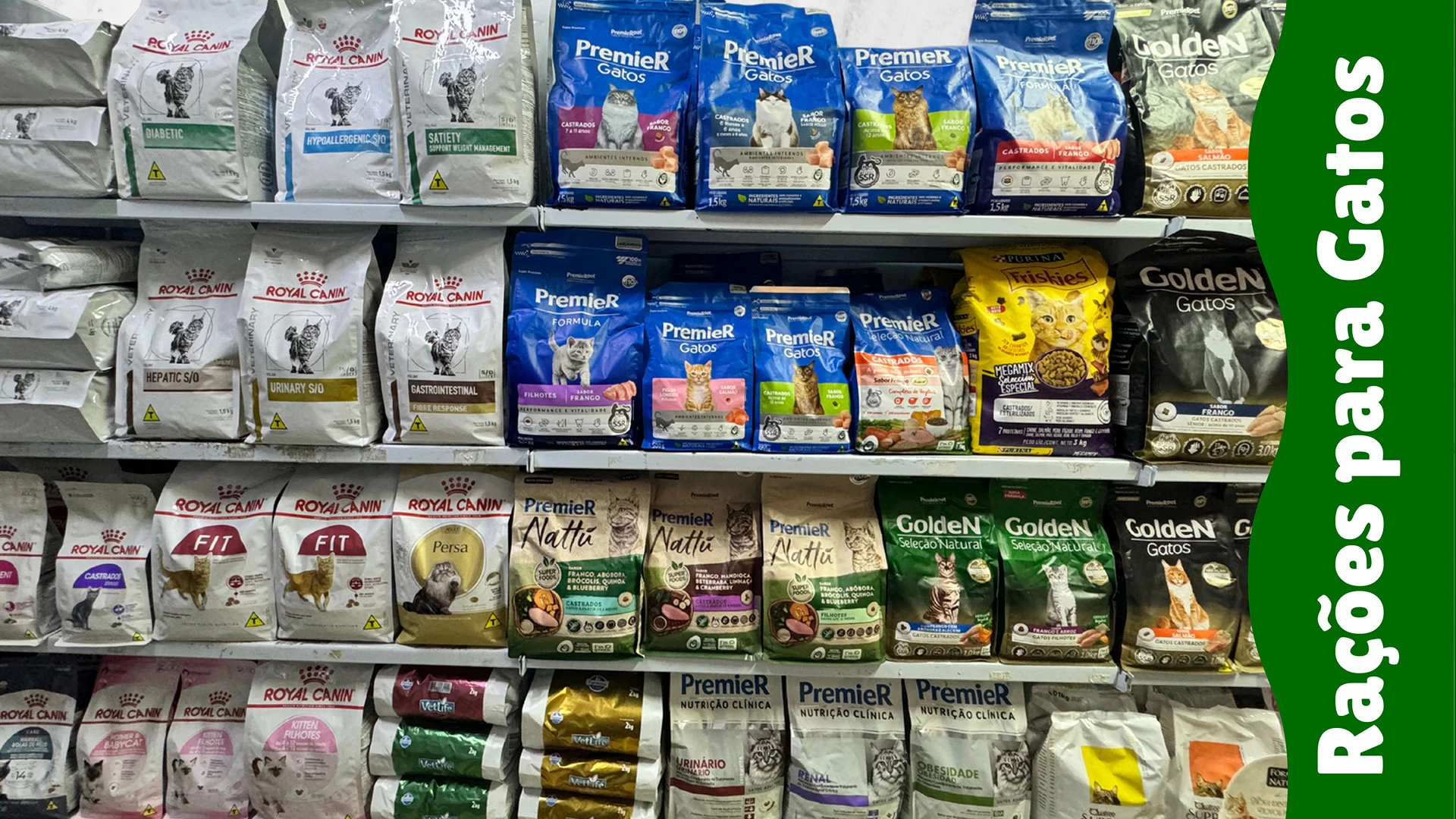 Ração para Gatos