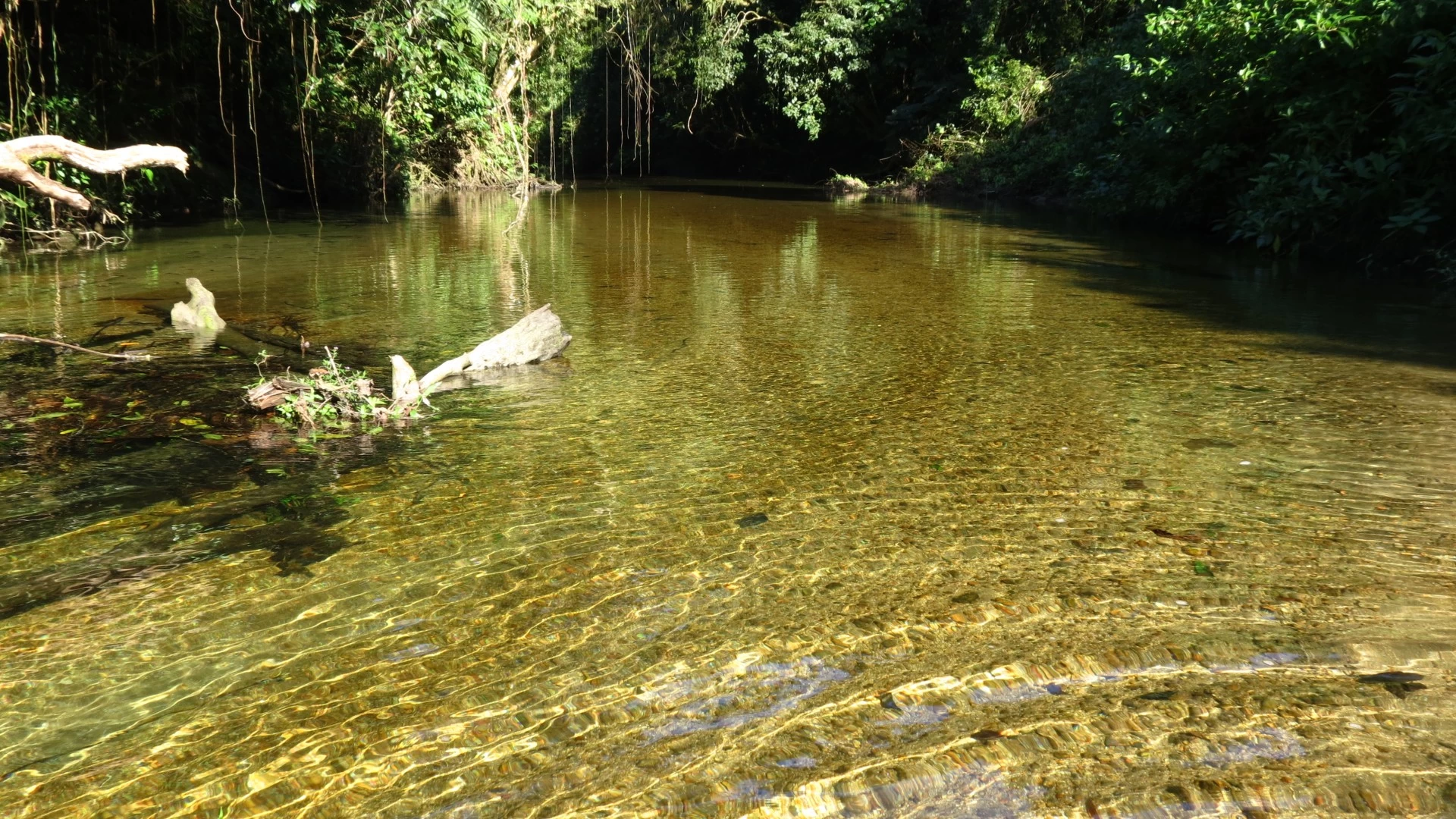 Rio Jaguareguava