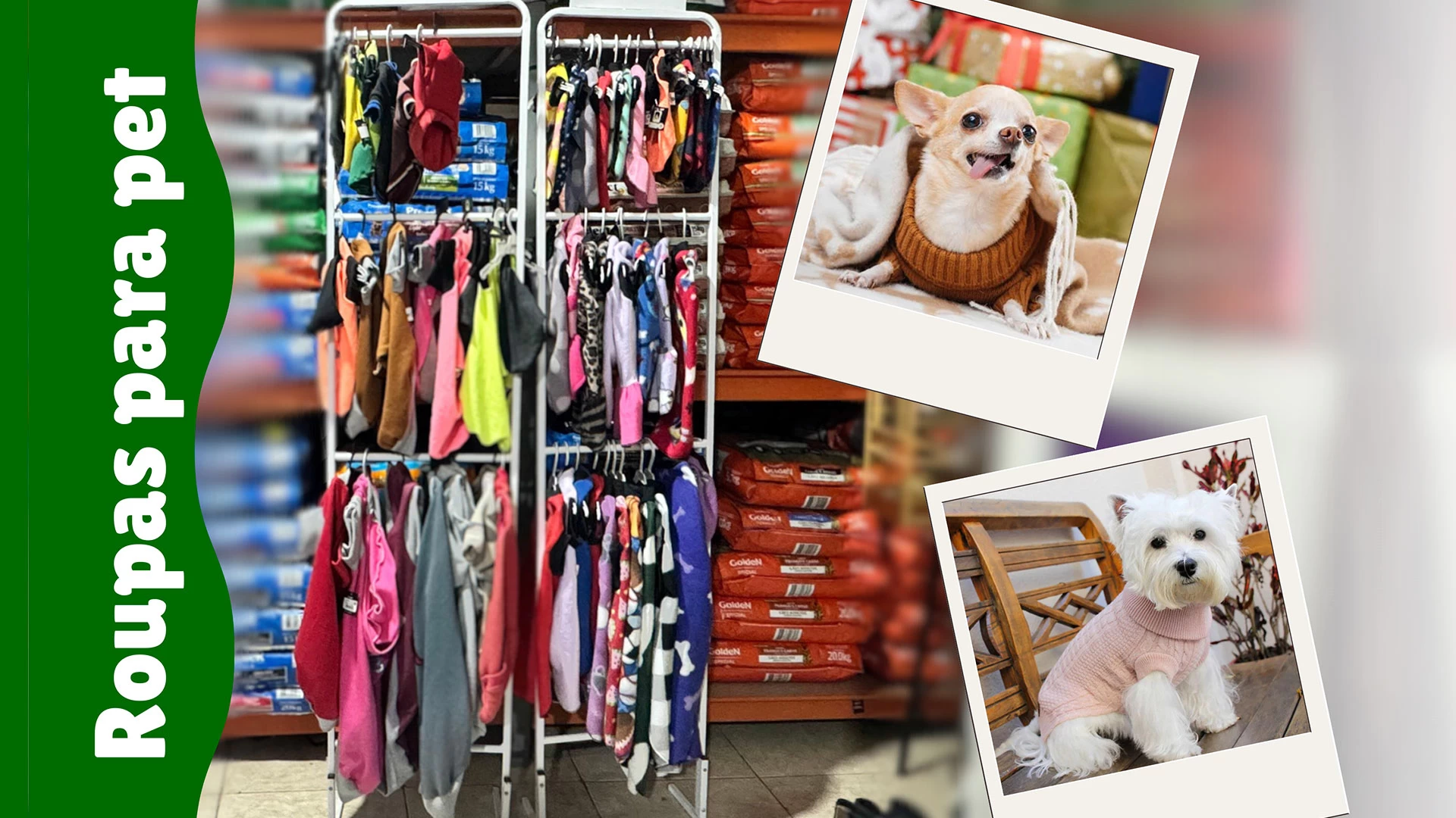 Roupa para Pets