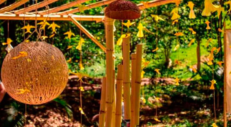 Brinquedos de Natureza 