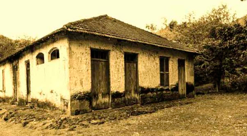Nossos Parques, Nosso Quintal