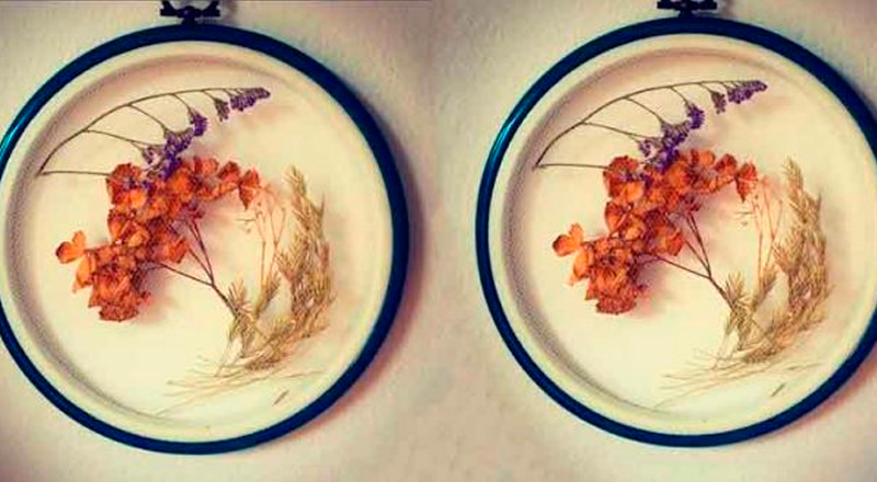 Bordado com Flores Secas