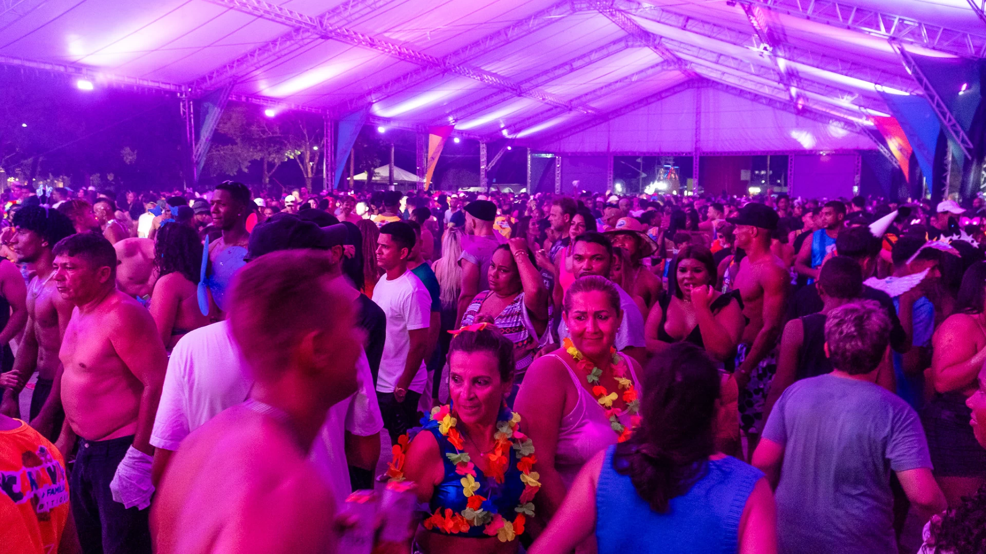 BertFolia 2026