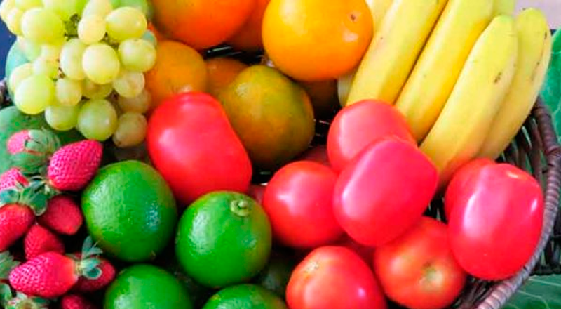 Alimentação Para o Bem-estar 