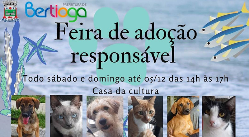 Feira de Adoção Responsável
