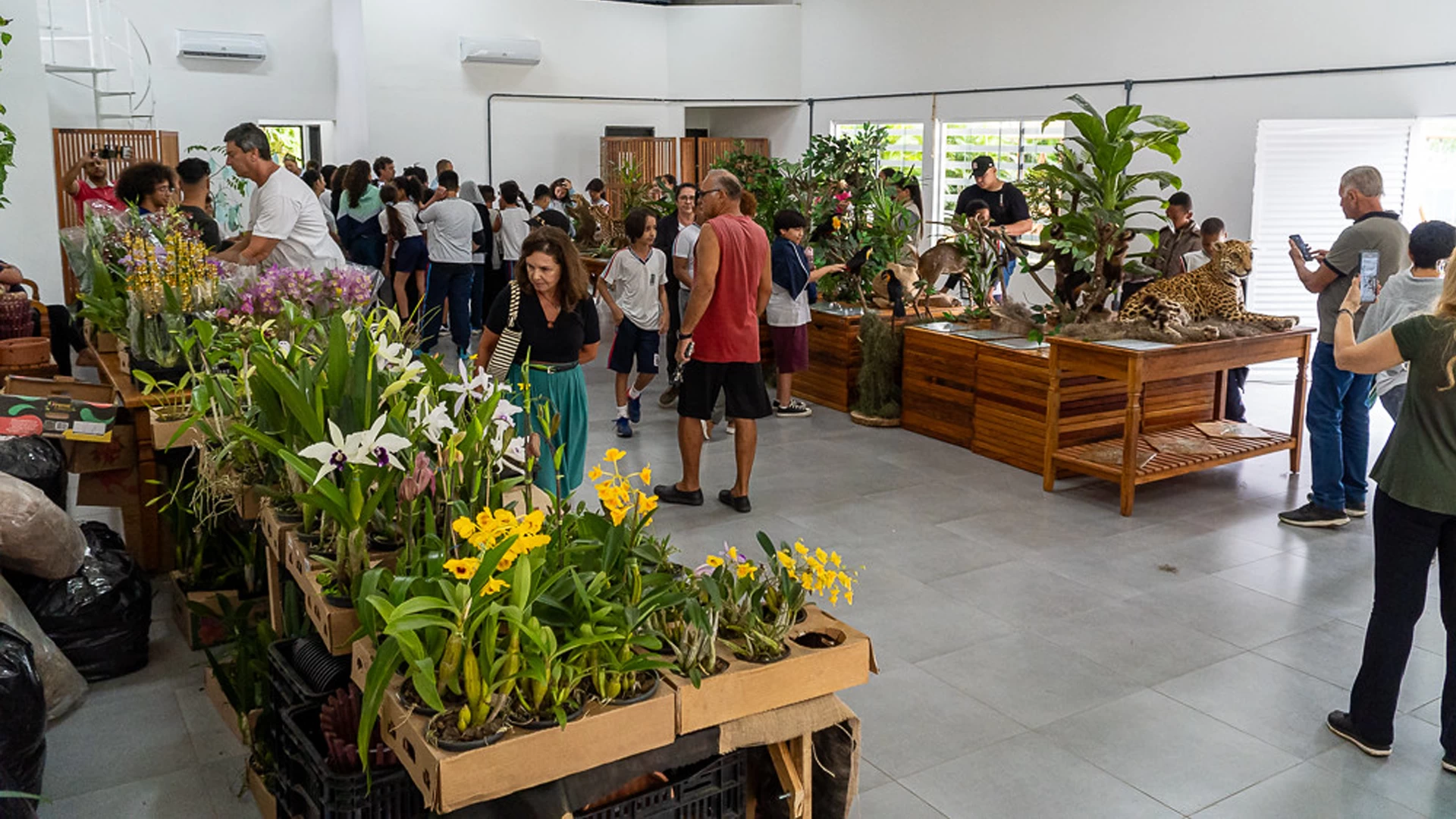 II Exposição de Orquídeas de Bertioga