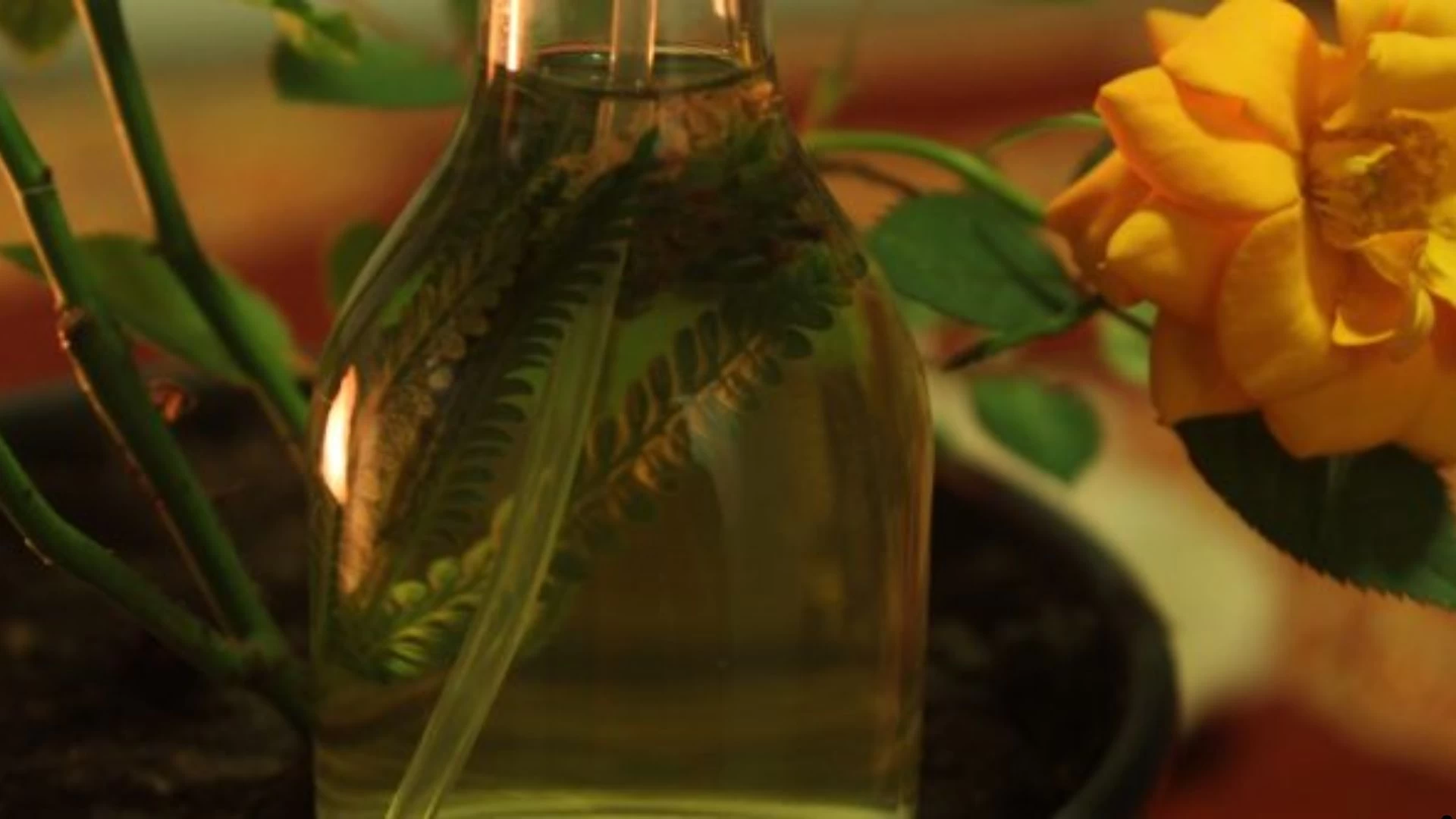 Perfumaria Botânica