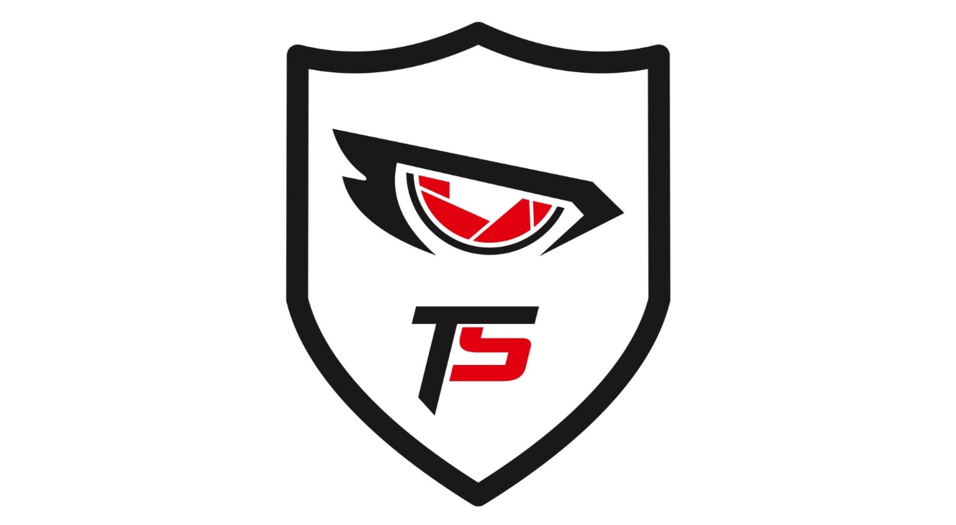 Totalseg Alarmes