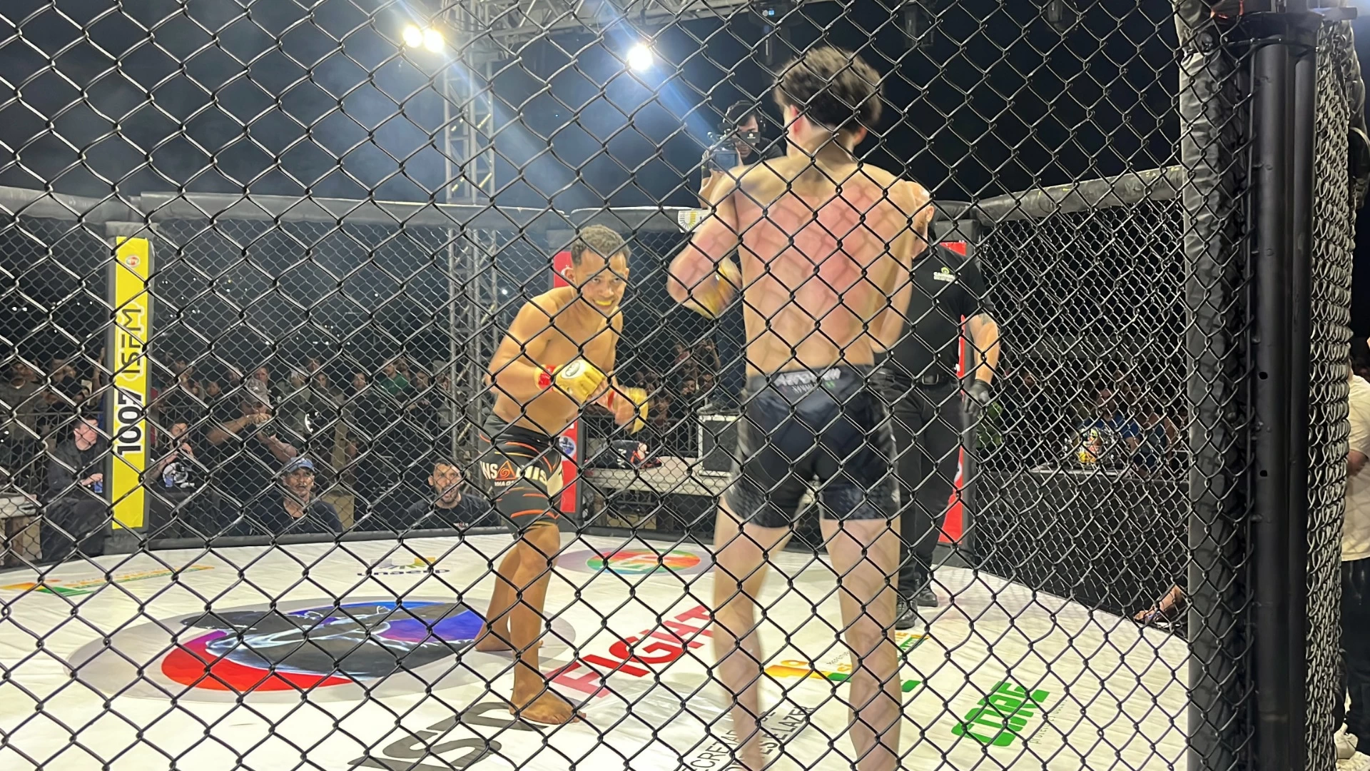 Noite de MMA